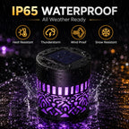 7 Color Changing LED Outdoor Projector Lamp